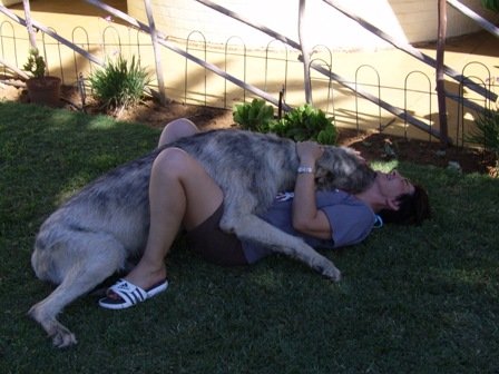 irish wolf en ander 066